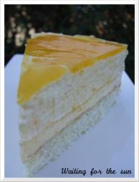 Bavarois Mangue - Orange