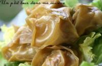 P\'tits Raviolis  l\'Asiatique Porc et Crevettes 