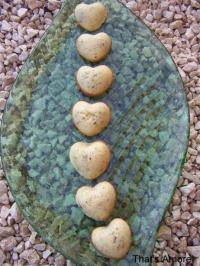 Petits Coeurs au Chocolat Blanc et Pistaches