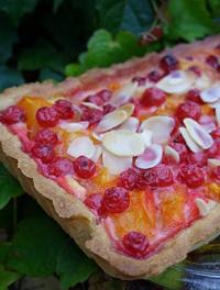 Tartes Gourmandes aux Abricots et aux Groseilles 