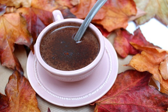 Chocolat Chaud Vanille et Cannelle