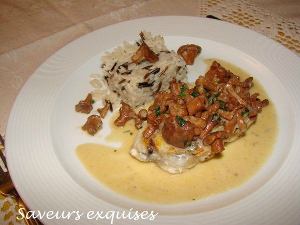 Fricasse de chanterelles