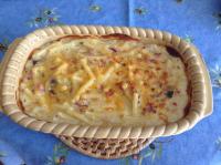 Gratin de macaronis au cheddar, champignons frais et lardons