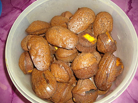 Madeleines au Chocolat Blanc et Noir