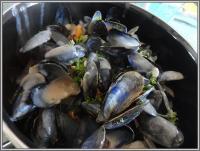 Moules au pineau rouge des charentes et  la crme