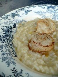 Risotto aux Poireaux et Coquilles Saint-Jacques