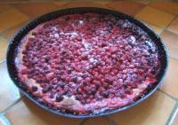 Tarte aux Groseilles du Jardin