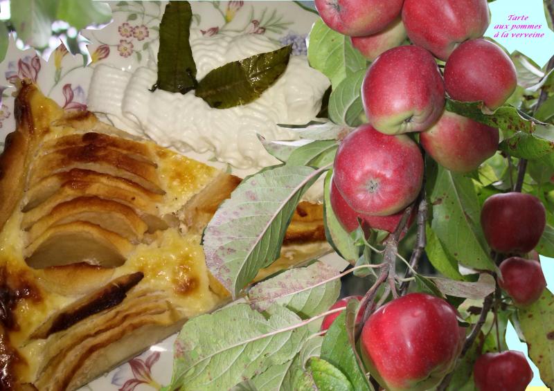 Tarte aux Pommes  la Verveine